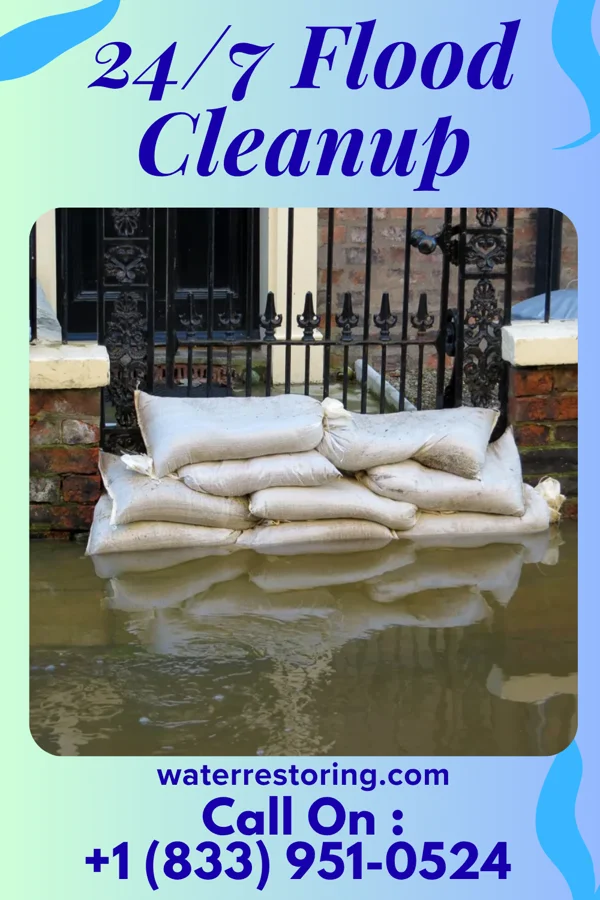 24/7 Flood Cleanup in Eagle Lake, MN